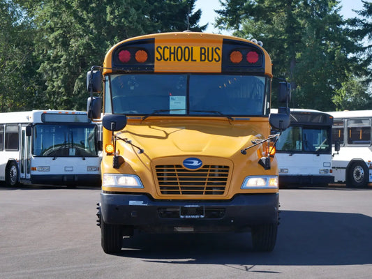 Blue Bird Vision School Bus Front Windshield Glass Green Blue Shade 43 x 22 3/4